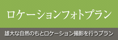 ロケーションフォトプラン LUMINARE ルミナーレ